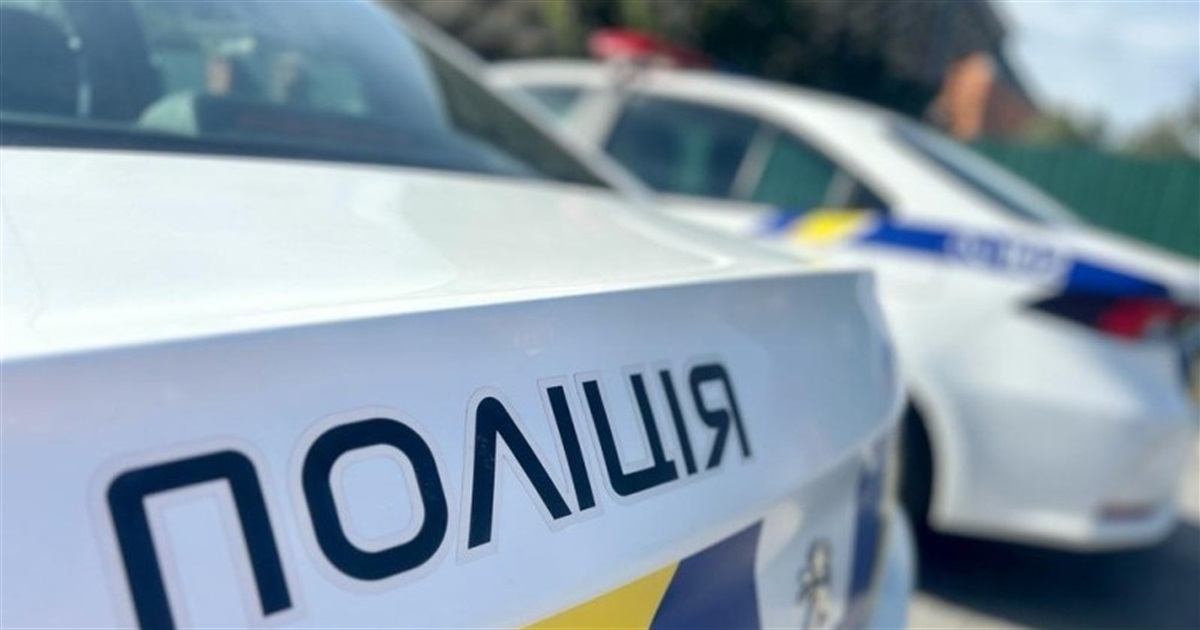 Їздив Звягелем з підробленим водійським посвідченням — водію загрожує штраф або арешт до 6 місяців