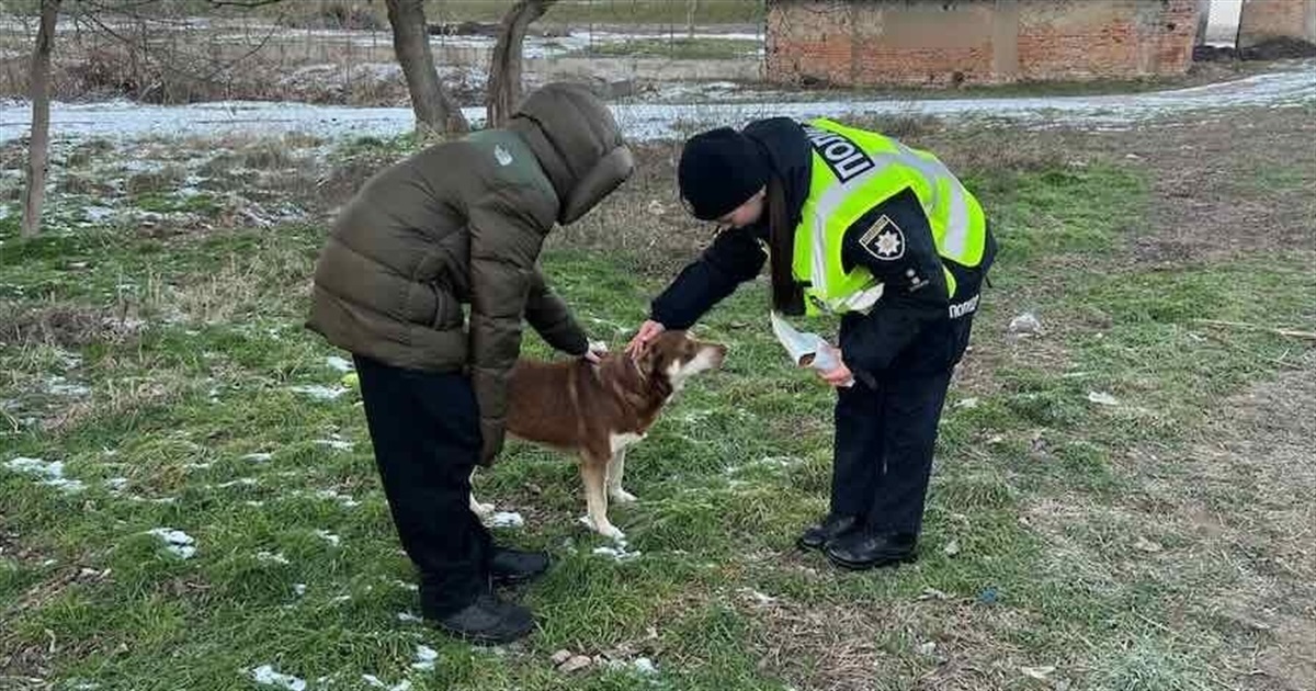 В Ізмаїлі поліцейські залучили дітей до годування бездомних котів і собак