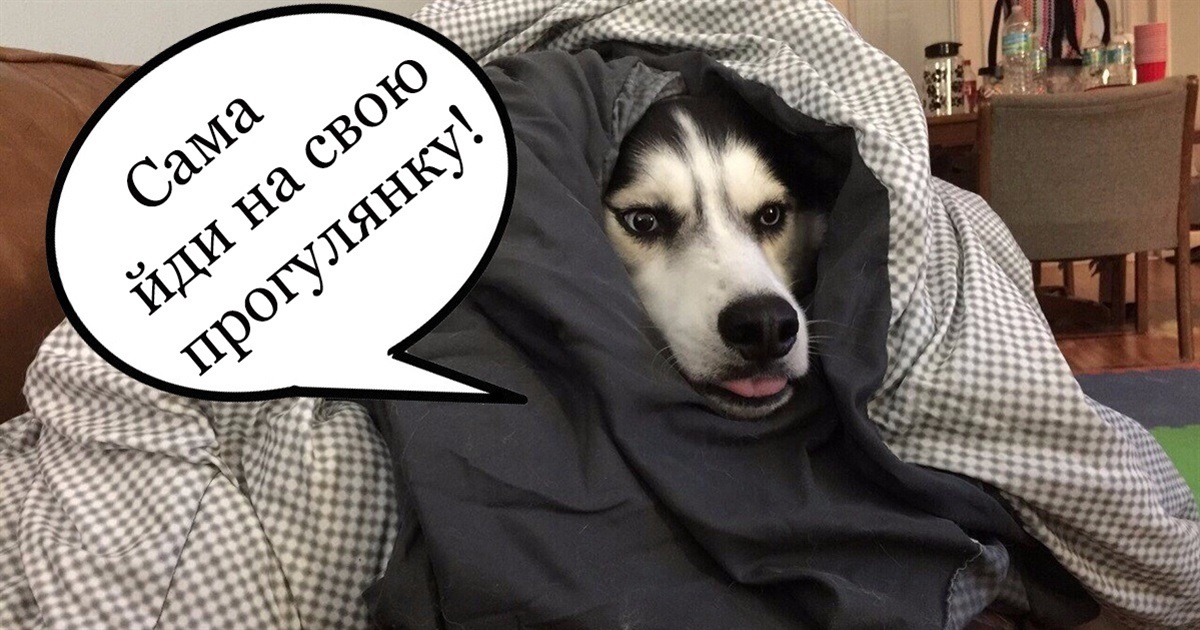 На початку наступного тижня ще буде дуже холодно: прогноз погоди на 8-10 січня