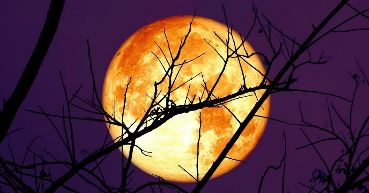 Місячний календар на квітень 2026: сприятливі дні та позитивні дати для стрижок