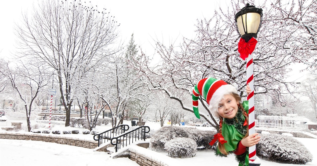 🎄Екологічні лайфхаки новорічно-різдвяного часу: створюємо затишок без шкоди для природи