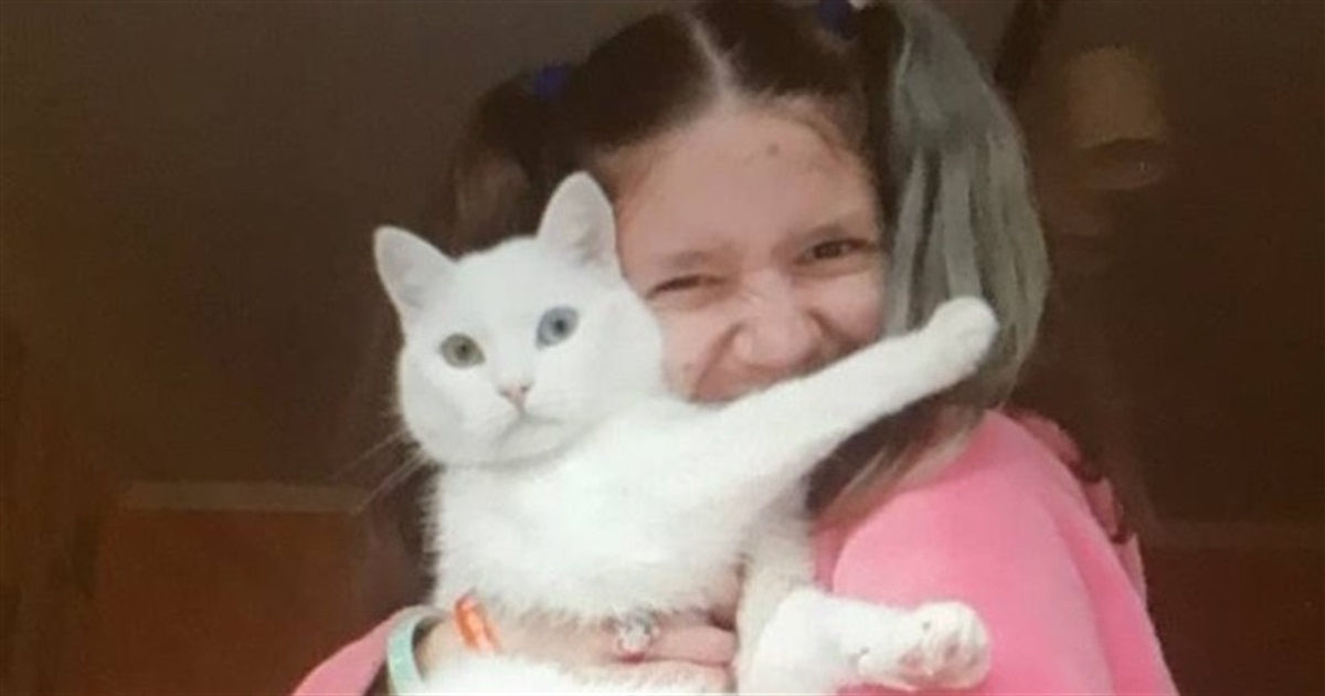 Вдома лишилися кіт і улюблена іграшка з Луганська. Школярка Віка Коротенко про евакуацію з Рубіжного