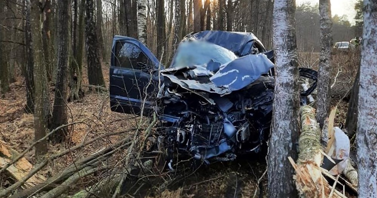 На Звягельщині водій позашляховика загинув, зіткнувшись з деревом