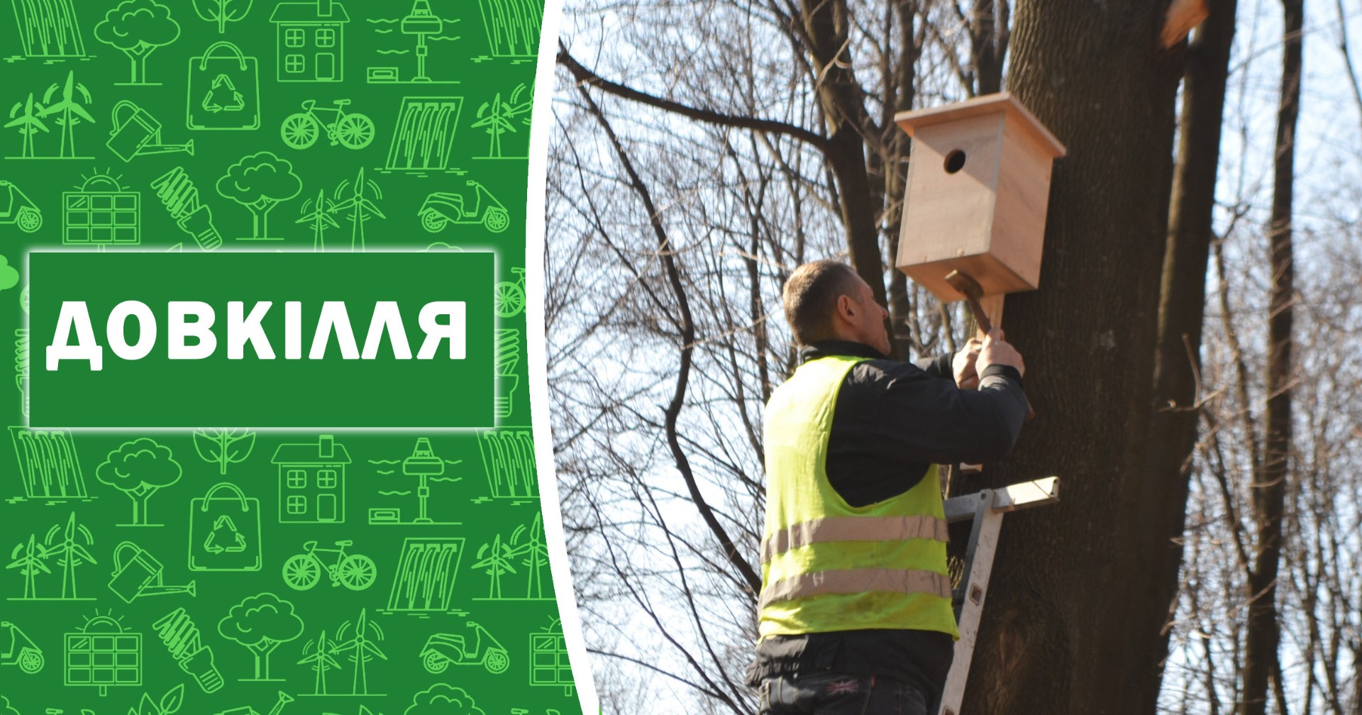 У парку «Ювілейний» встановили шпаківні