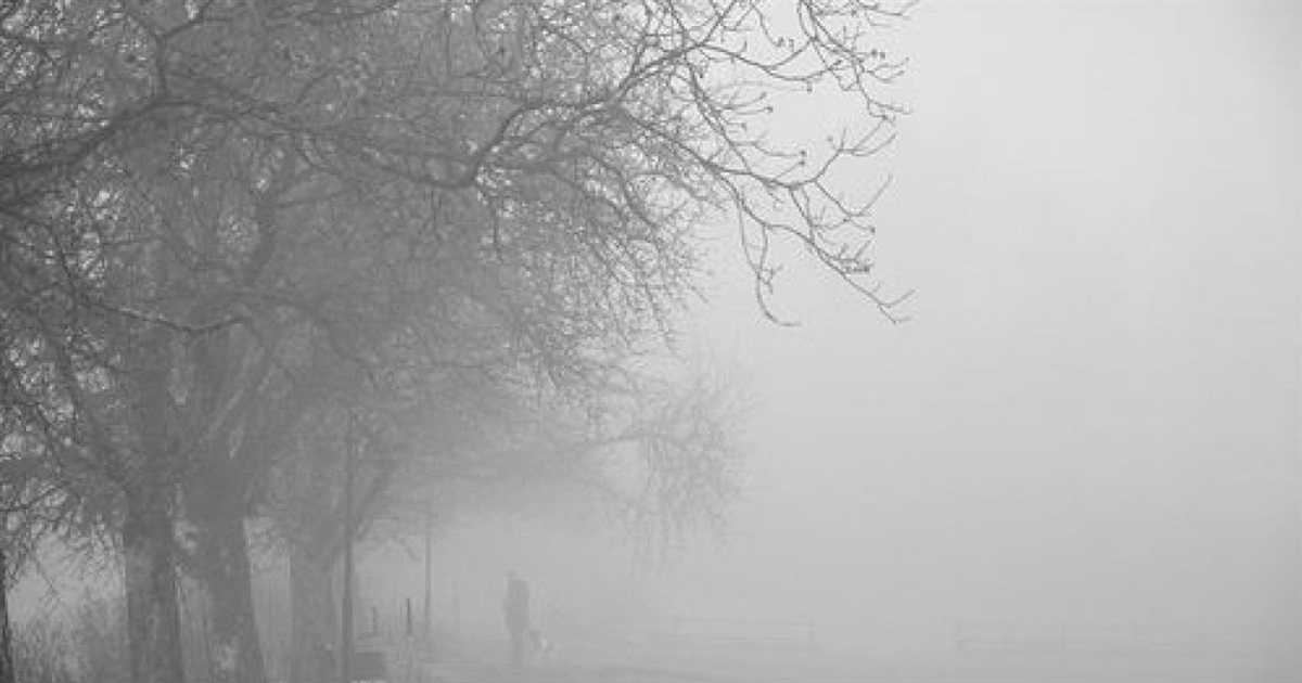 На вихідних погода на Сумщині погіршиться: що прогнозують синоптики