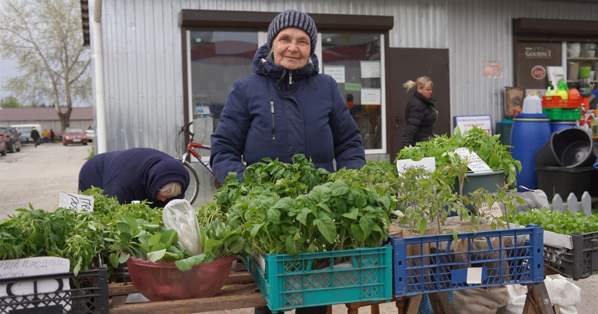 На базарі у Переяславі головним товаром була розсада. Продавці радили, як її обрати