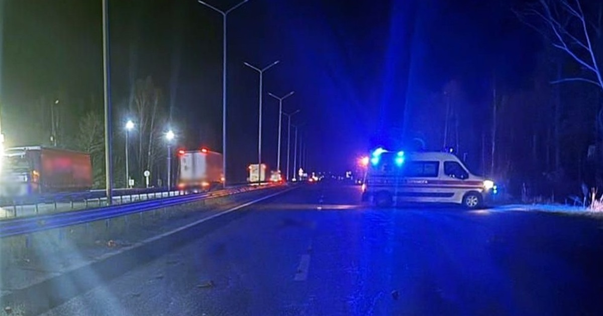 Вантажівка, яка рухалася у напрямку Звягеля, на смерть збила пішохода