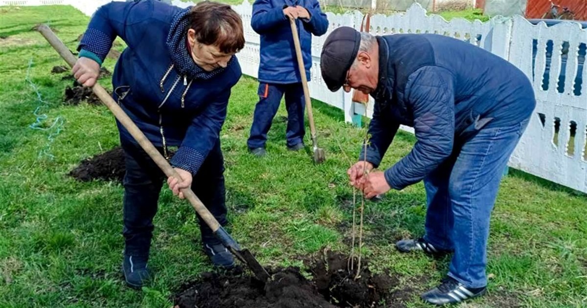 Калина пам’яті та надії: у Сомковій Долині на Переяславщині випускники висадили алею