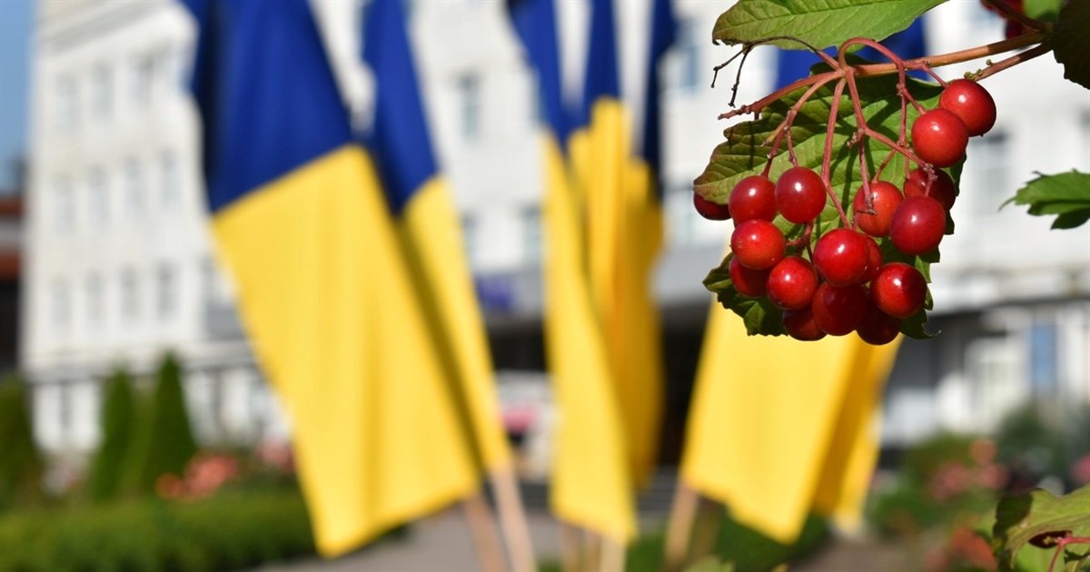 У Звягелі знову проведуть позачергову сесію міської ради: який порядок денний