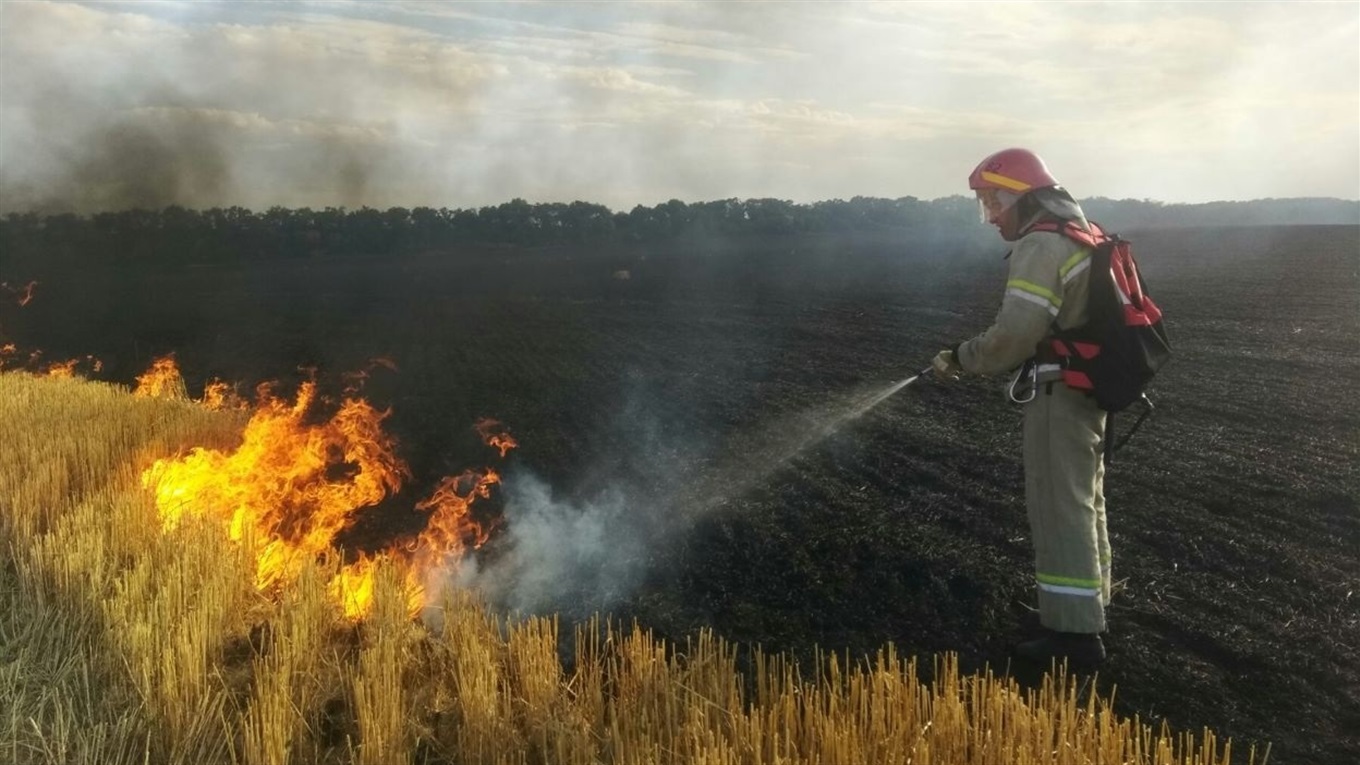 За добу у Донецькій області 21 раз горіла стерня. Рятувальник розповів, як гасять такі пожежі