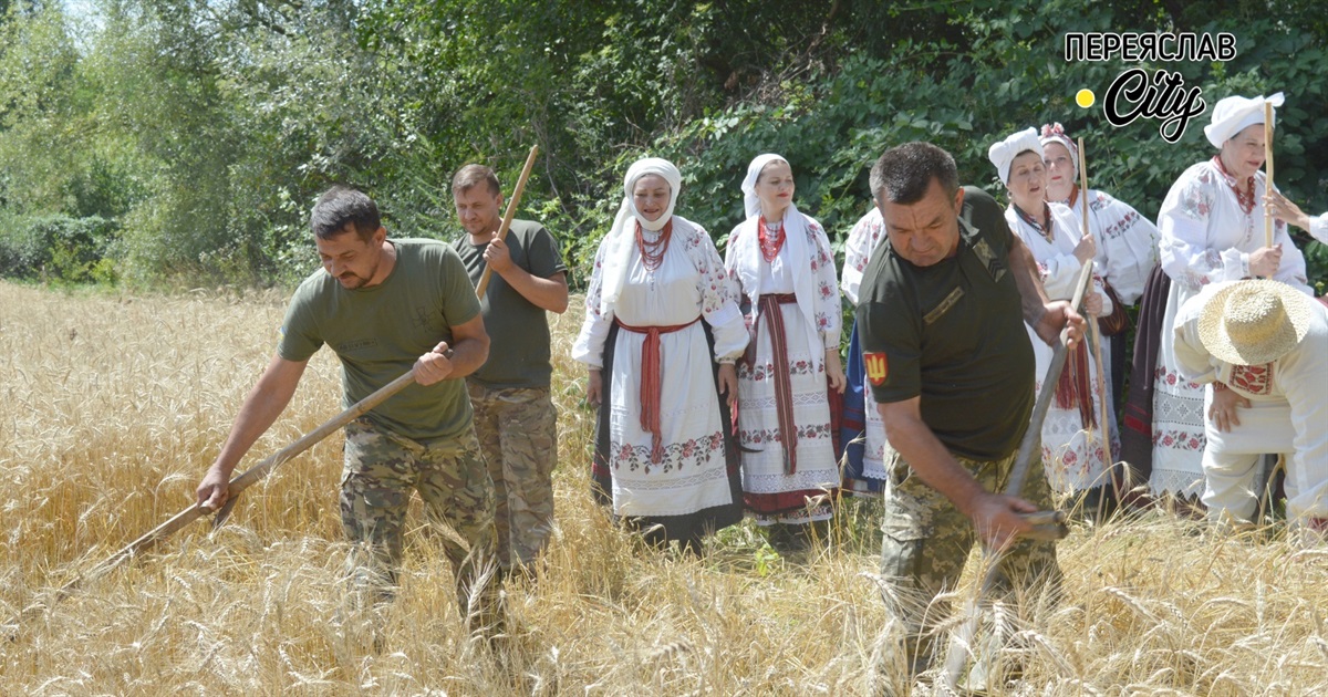 Захисники накосили хліба на полі під Переяславом: обряд зажинок провели з ініціативи Миколи Томенка