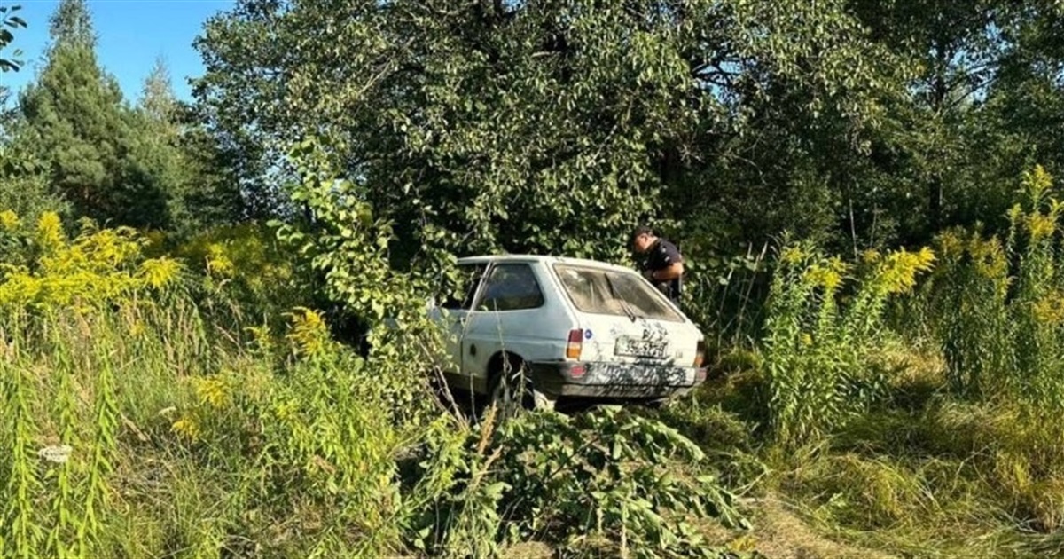 Дві "нетверезі" ДТП на Звягельщині — рух обох автівок "зупинили" дерева