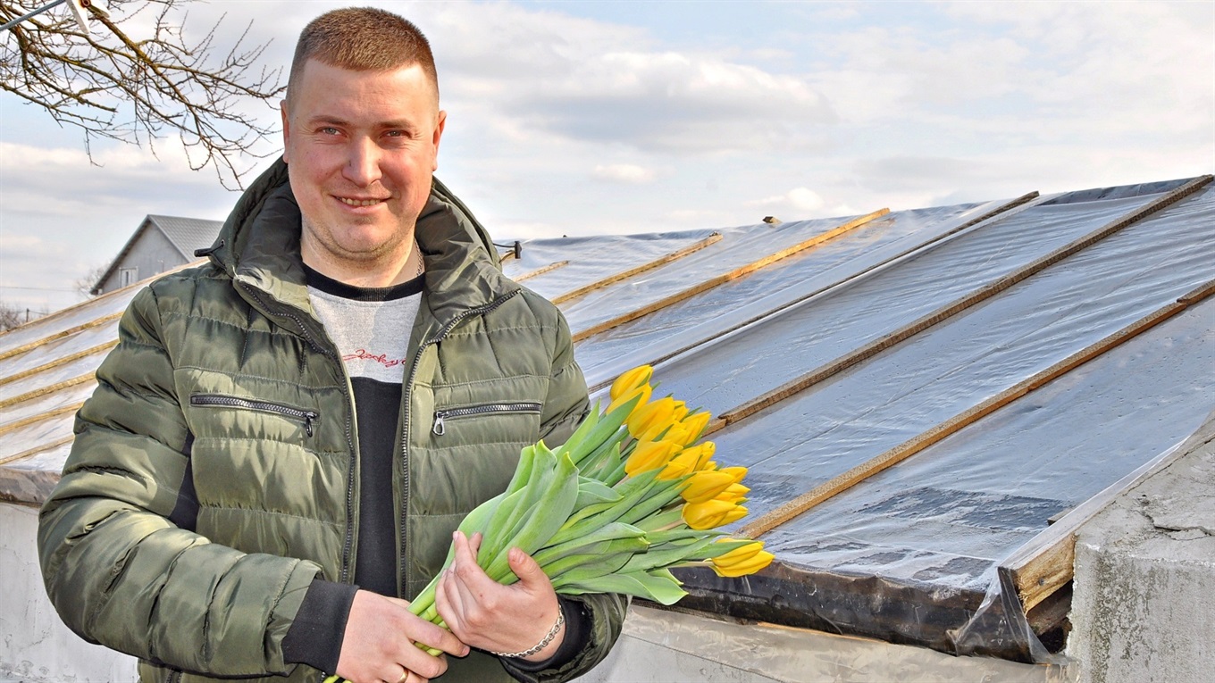 «Нідерланди» в Сарнах: Юрій Шекель вирощує тисячі тюльпанів