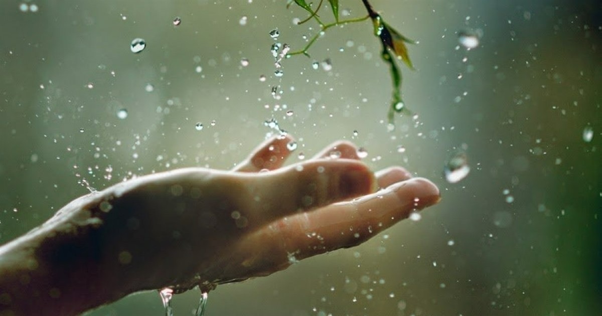 Найближчими днями синоптики Сумщини прогнозують невеликий дощ: прогноз погоди