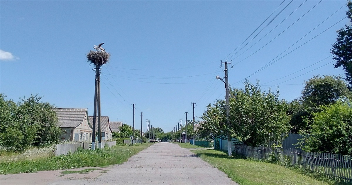 Зі святом, рідне Тучне!