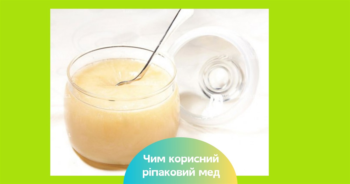 Користь ріпакового меду для здоров’я — від імунітету до шкіри