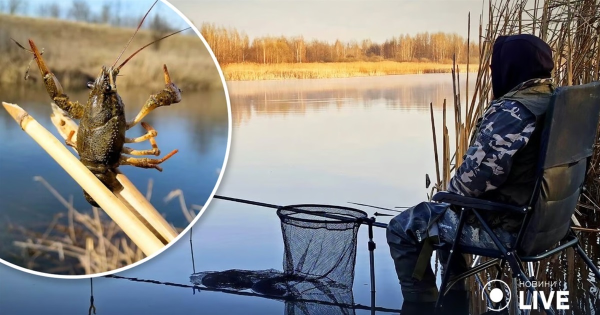 На Житомирщині закінчилась заборона на вилов раків, але для рибалок встановили правила