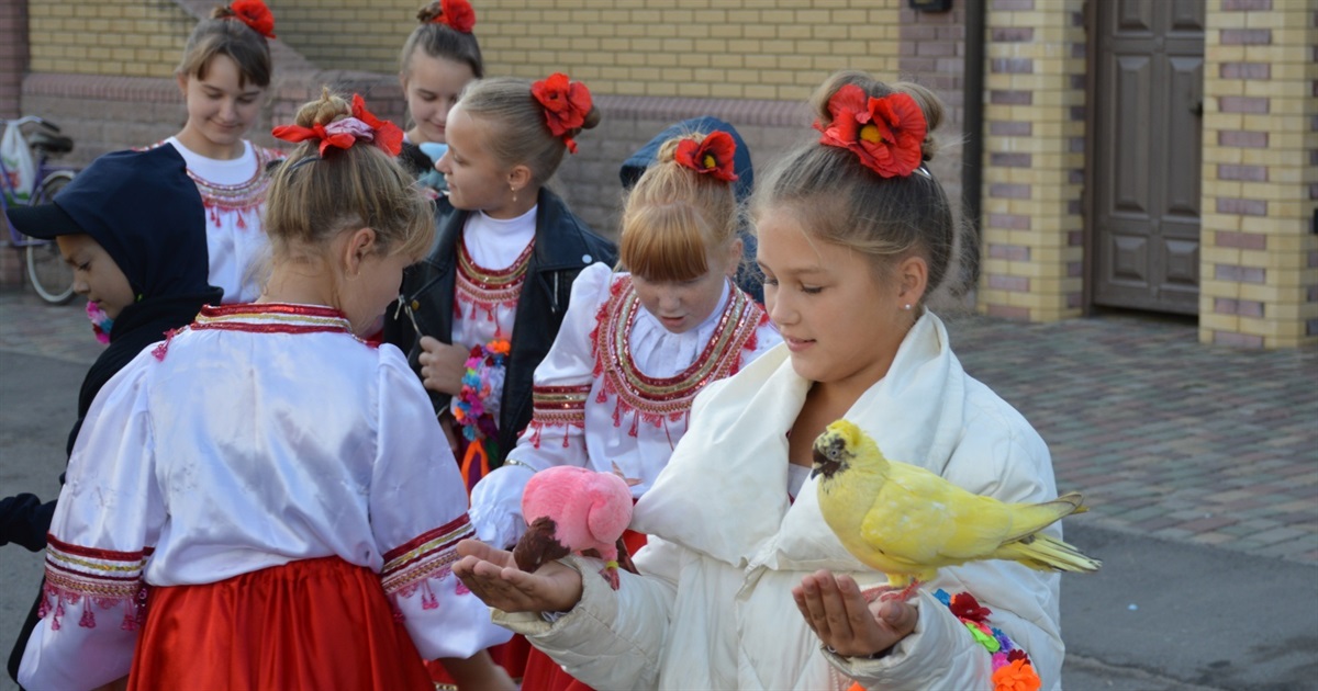 У Сватовому на обласній виставці птахів і тварин випустили в небо 100 поштових голубів