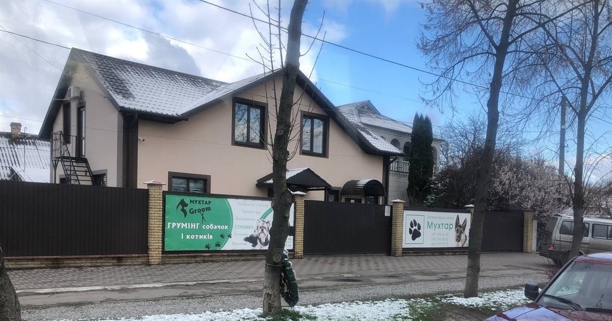У Переяславській громаді виявили скаженого кота: ветклініки безкоштовно вакцинують тварин