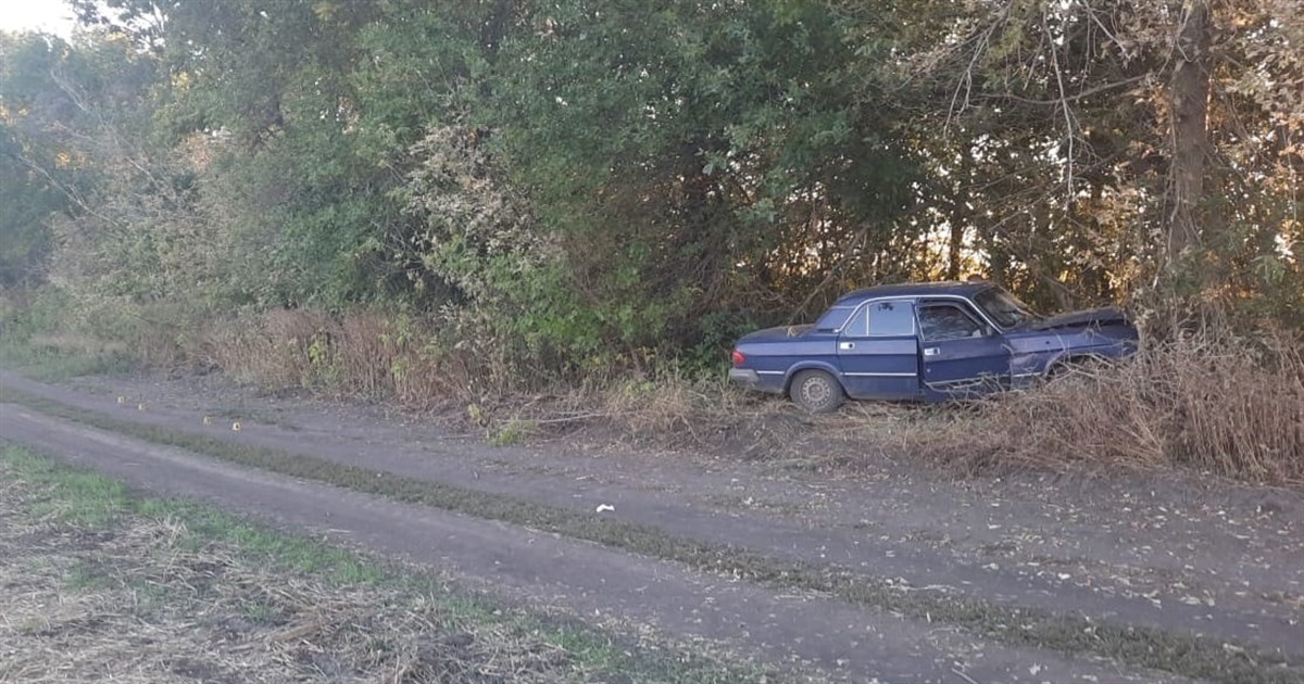 Аварія у Бобрику: п’яний водій в’їхав у дерево. Є травмовані