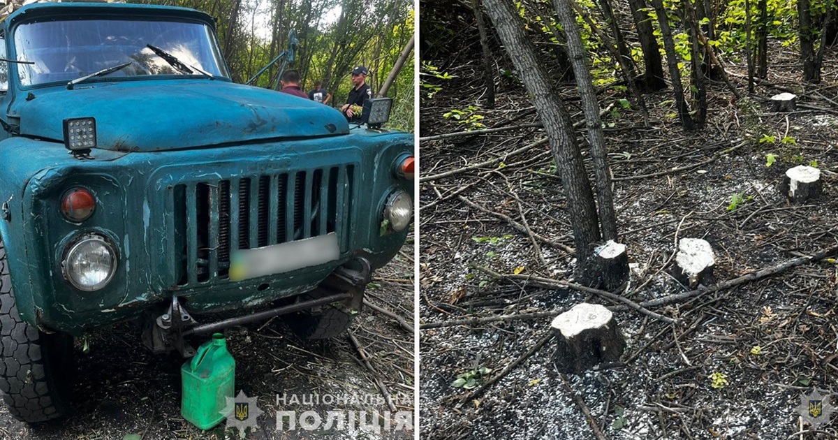Білопільські поліцейські викрили чоловіка у незаконній порубці деревини