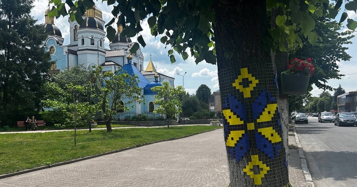 До Дня міста дерева у центрі Звягеля прикрасили вишиванками