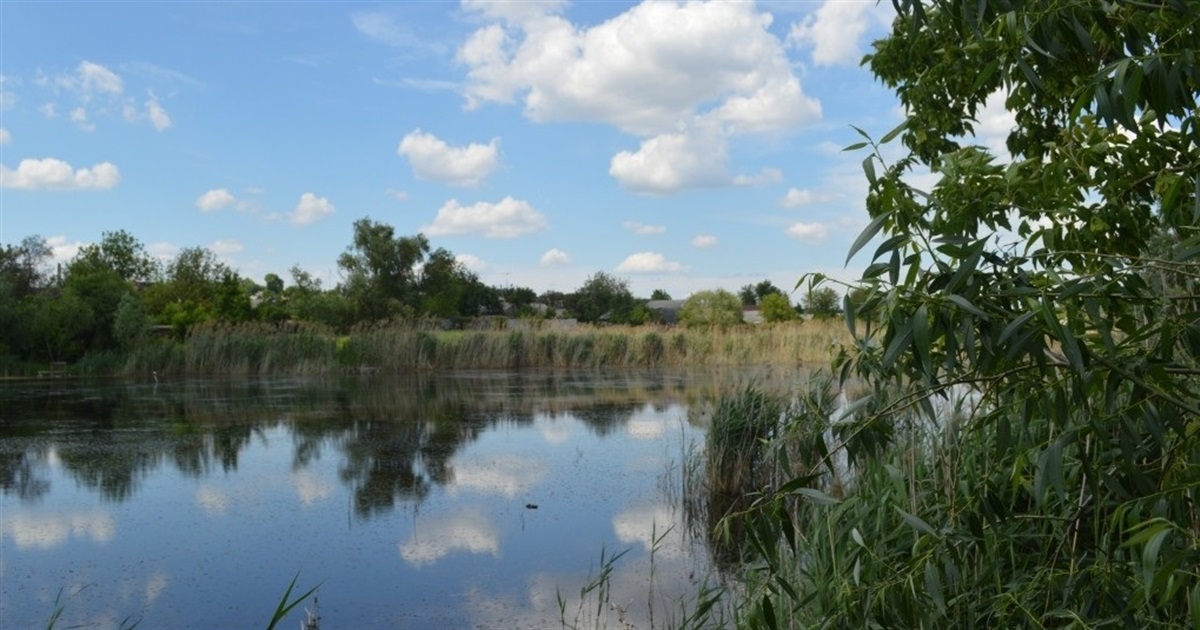 Неприємний запах із Загребельського ставу: що виявила комісія міськради після скарг місцевих жителів