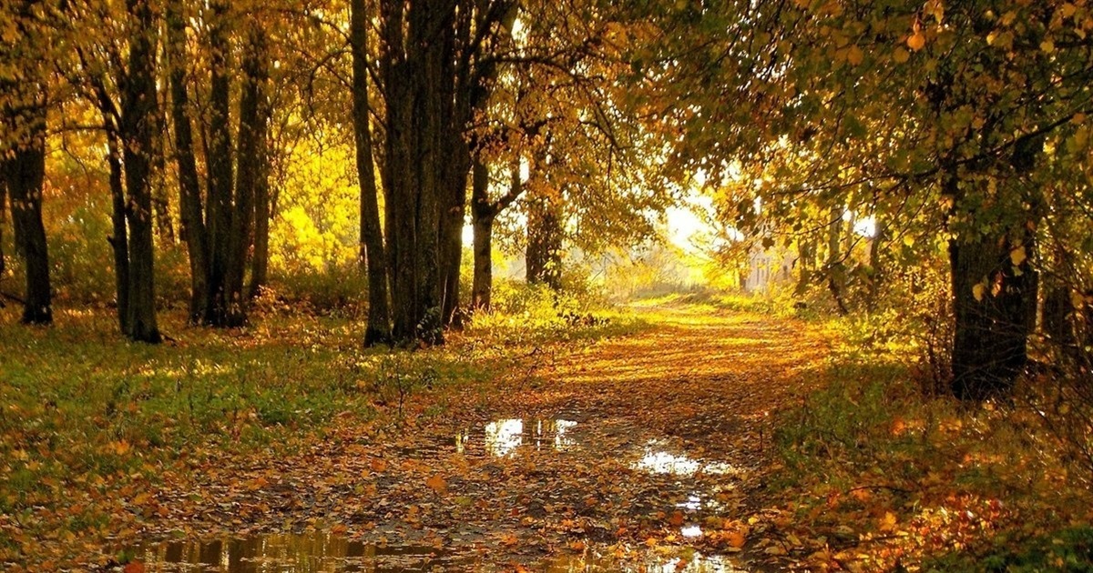 Дощі, дощі... Яку погоду прогнозують синоптики на вихідні 25-26 жовтня