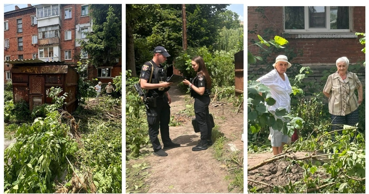 Скандал по вулиці Франка: місцеві не дозволяють забудовнику зрізати кущі біля будинку