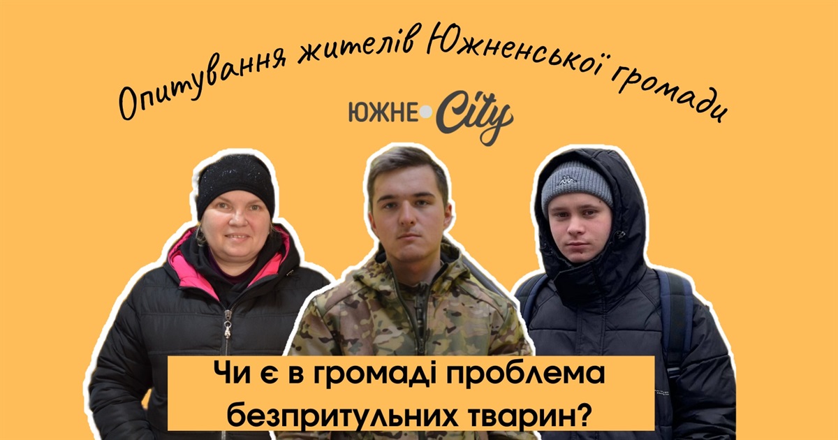Жителі Южного розповіли про проблему безпритульних тварин у місті