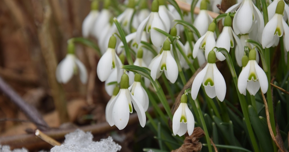 Березень 2026: Ключові зміни в соціальних виплатах, мобілізації та економіці