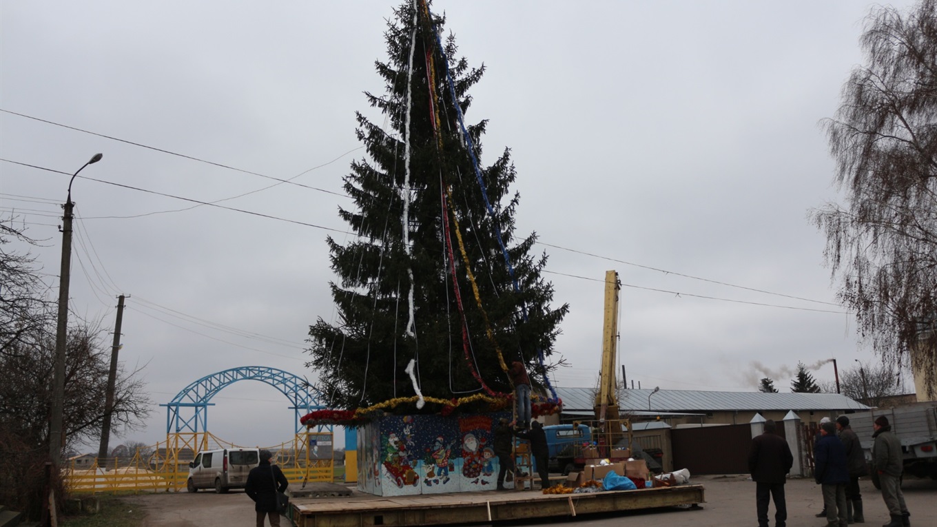 Наша міська ялинка буде вищою від ялинки у Хмельницькому