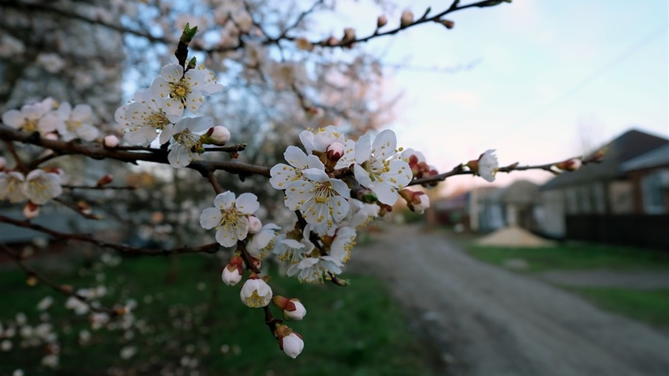 Що робити та чого не робити, якщо живеш в маленькому містечку