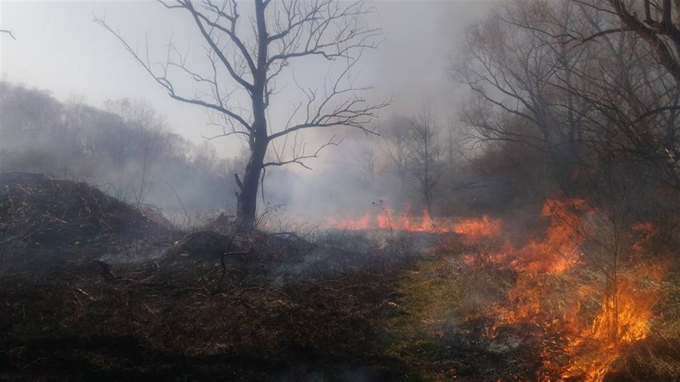 Чому не можна підпалювати траву? Чотири причини та два трагічних приклади