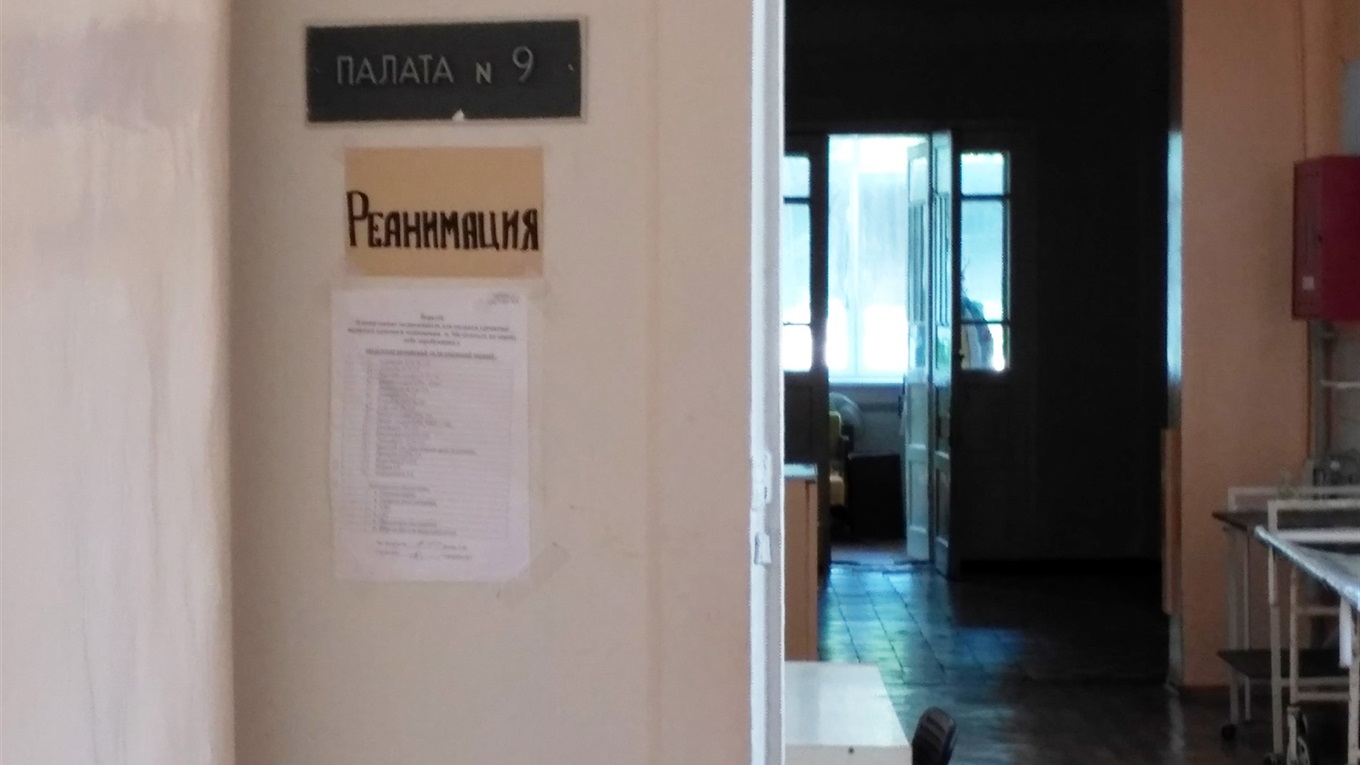 Змея укусила в огороде - пострадавшая жительница Мелитополя находится в реанимации