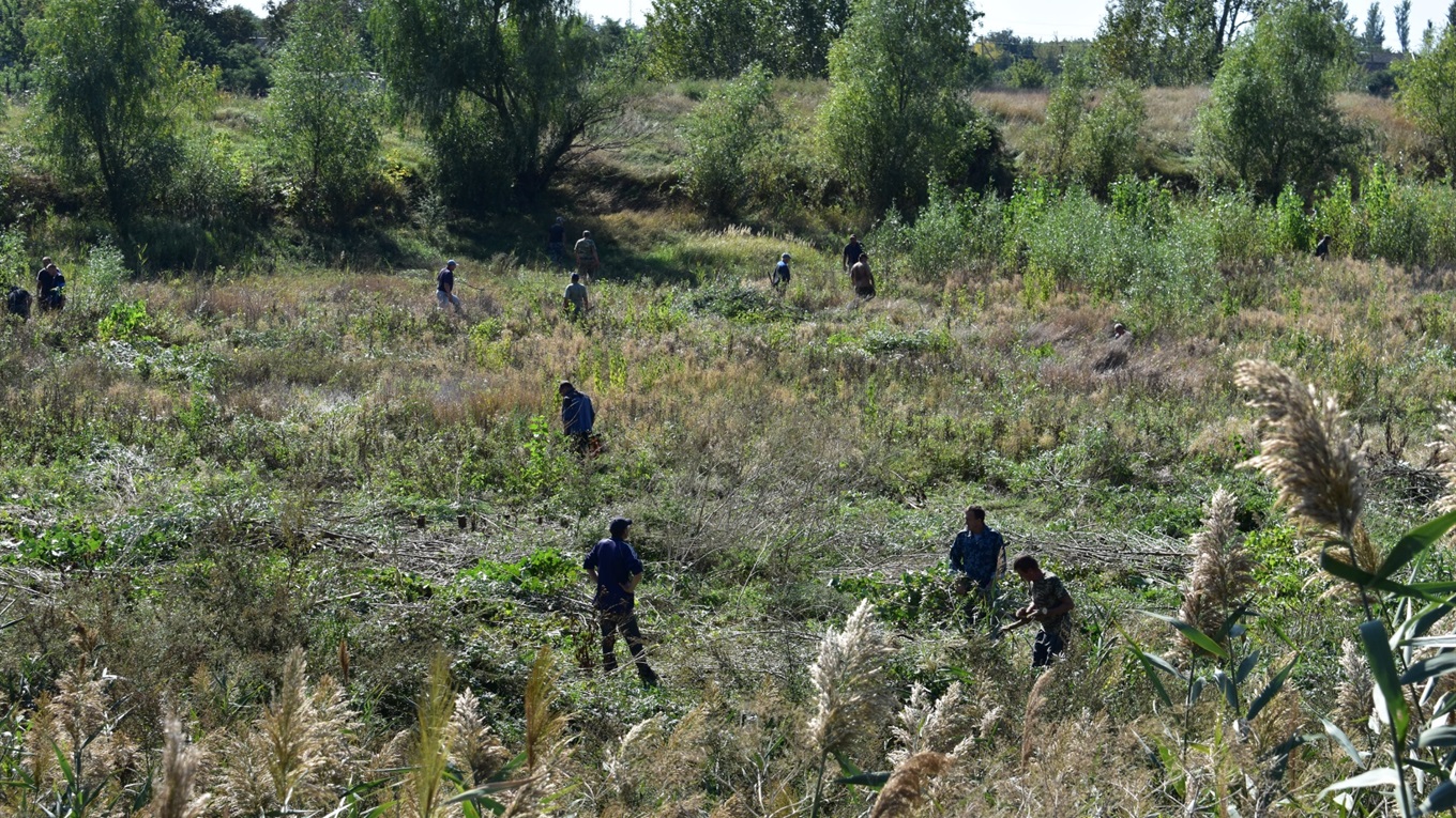 На розчистку русла балки Великі Сірогози вийшло більше тридцяти любителів рибної ловлі (ФОТО)