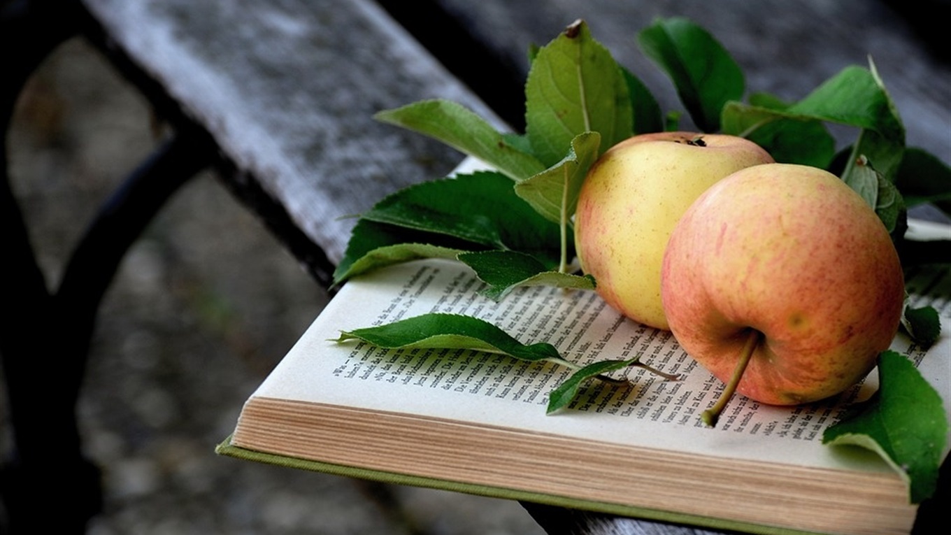 Час читати книги: які бібліотеки працюють у місті