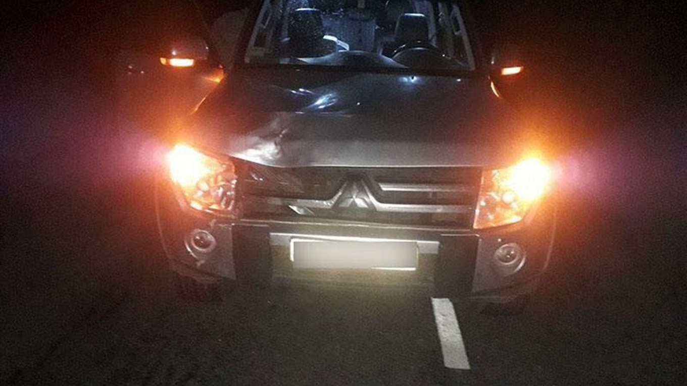 У Волноваському районі водій Mitsubishi насмерть збив велосипедиста