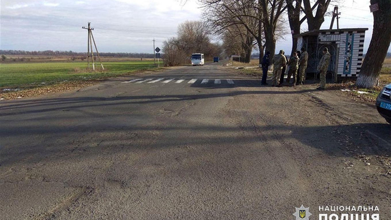 У Волноваському районі водій вантажівки збив молоду жінку