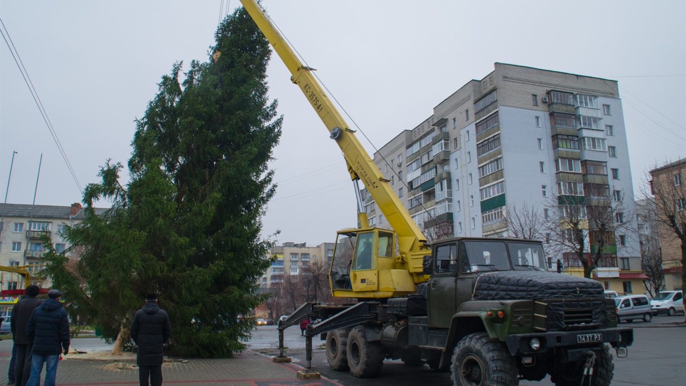 В Новограді встановили ялинку