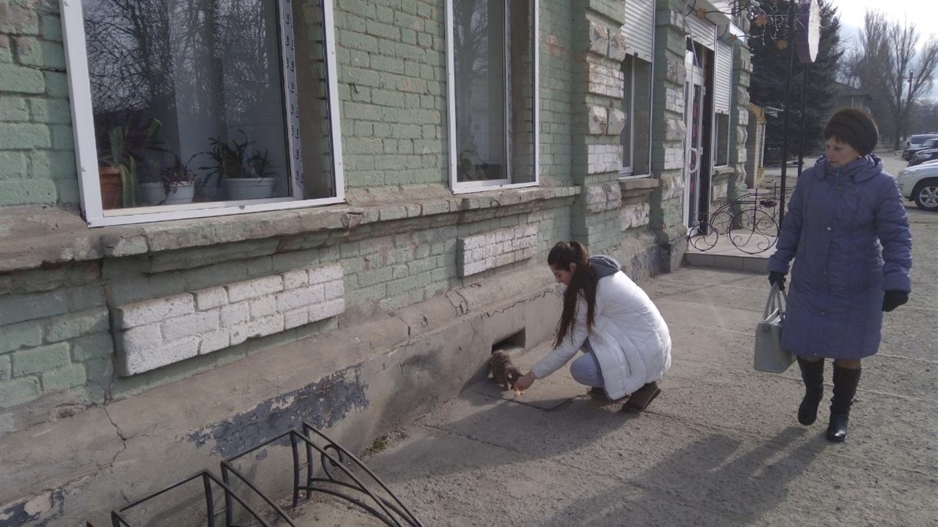 Фото дня: місцеві жителі підгодовують кошеня, що оселилося біля «Еталона»