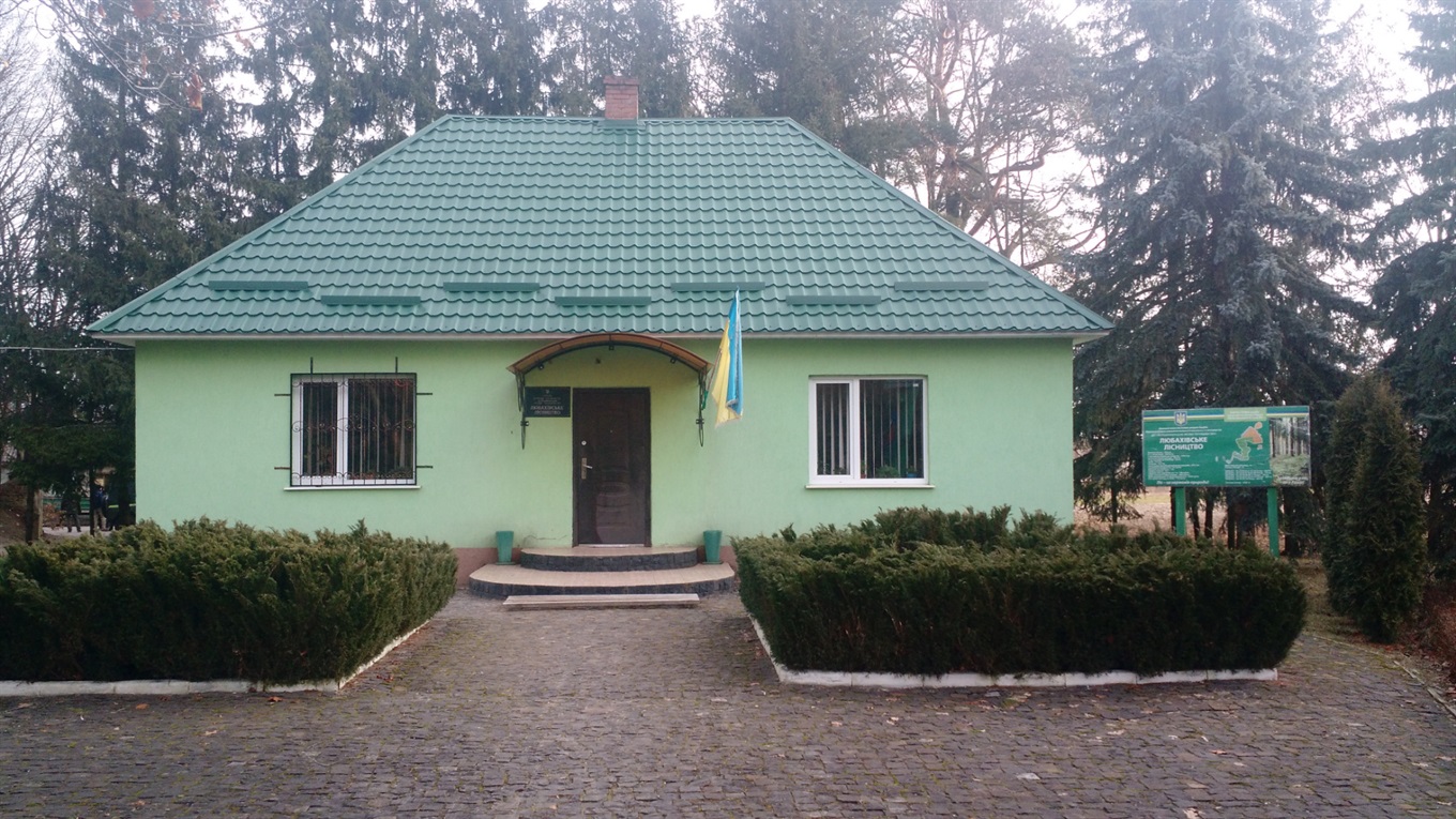 У найстарішому лісництві краю в Любахах лісові угіддя оберігають за допомогою відеокамер