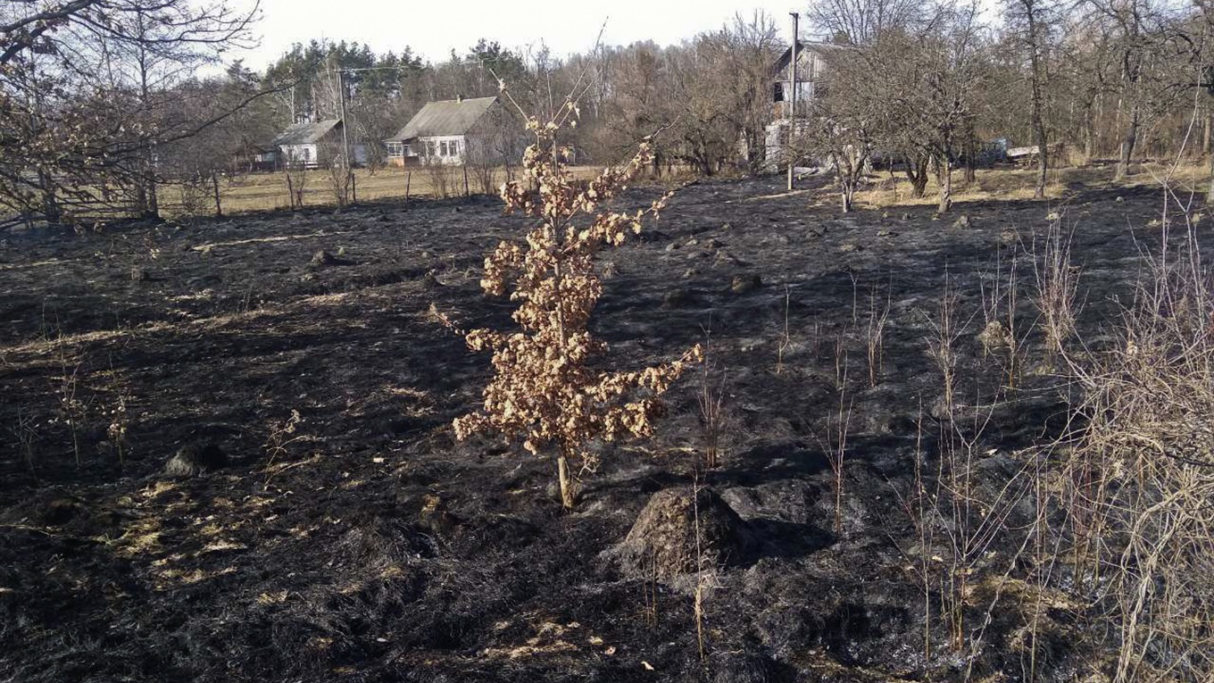 25 займань сухої трави за два тижні: вогнеборці закликають не провокувати пожежі в екосистемах