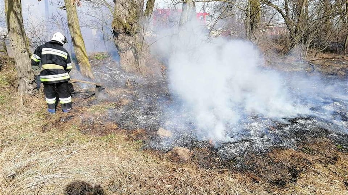 Рятувальники закликають барчан та жителів району не палити суху траву