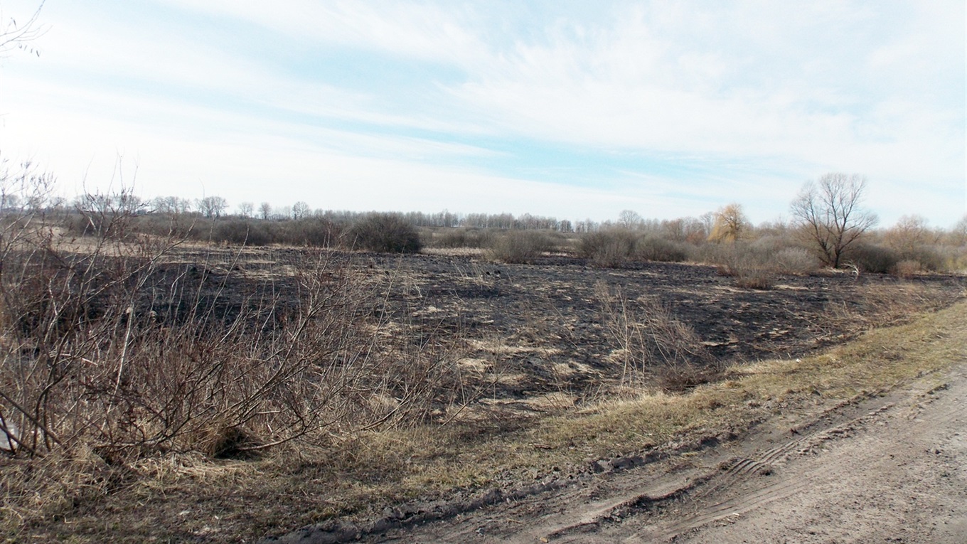 На кордоні Менського і Сосницького районів вигоріло п'ять гектарів