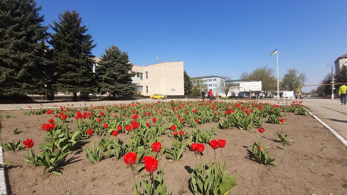 Чому Гуляйполе — українська Голандія
