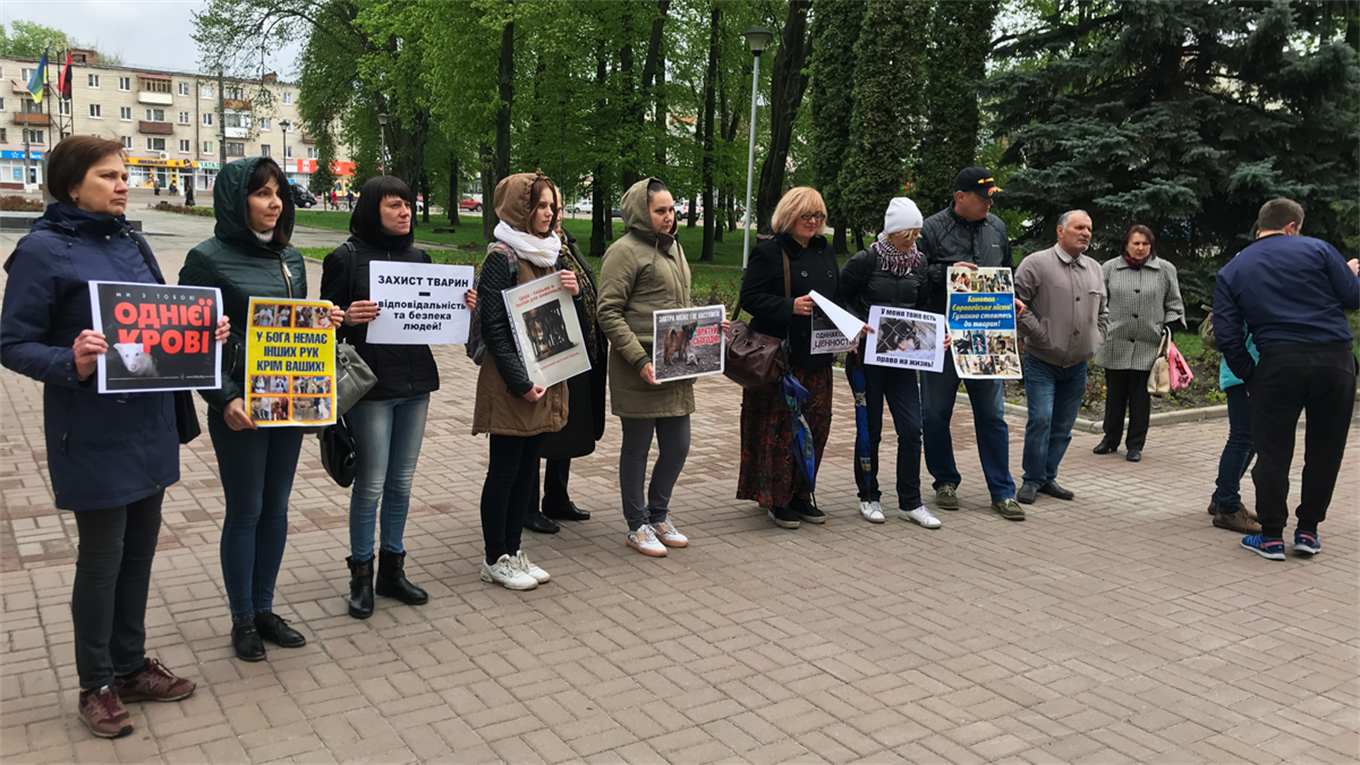 У Конотоп приїхав цирк з тваринами. Зоозахисники вийшли на акцію протесту