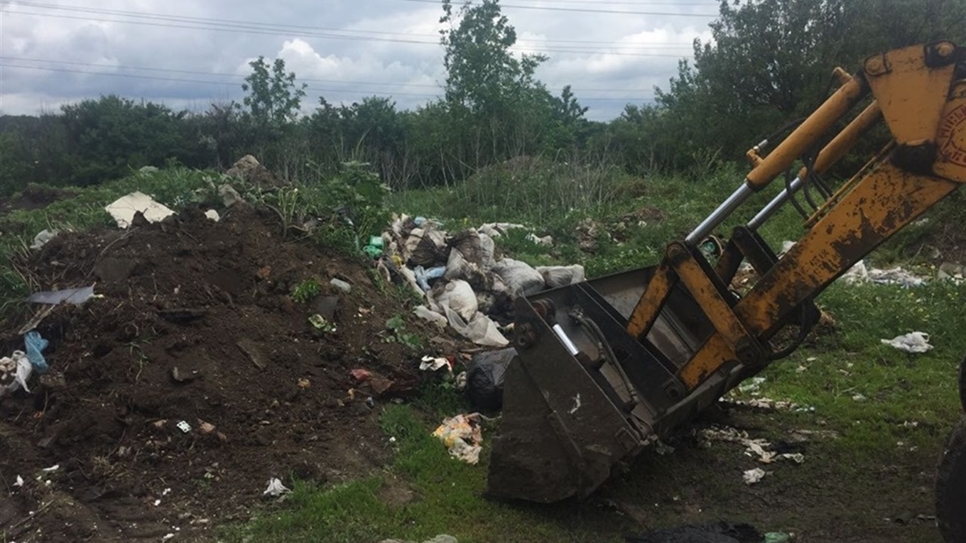 Волновасьці систематично забруднюють довкілля