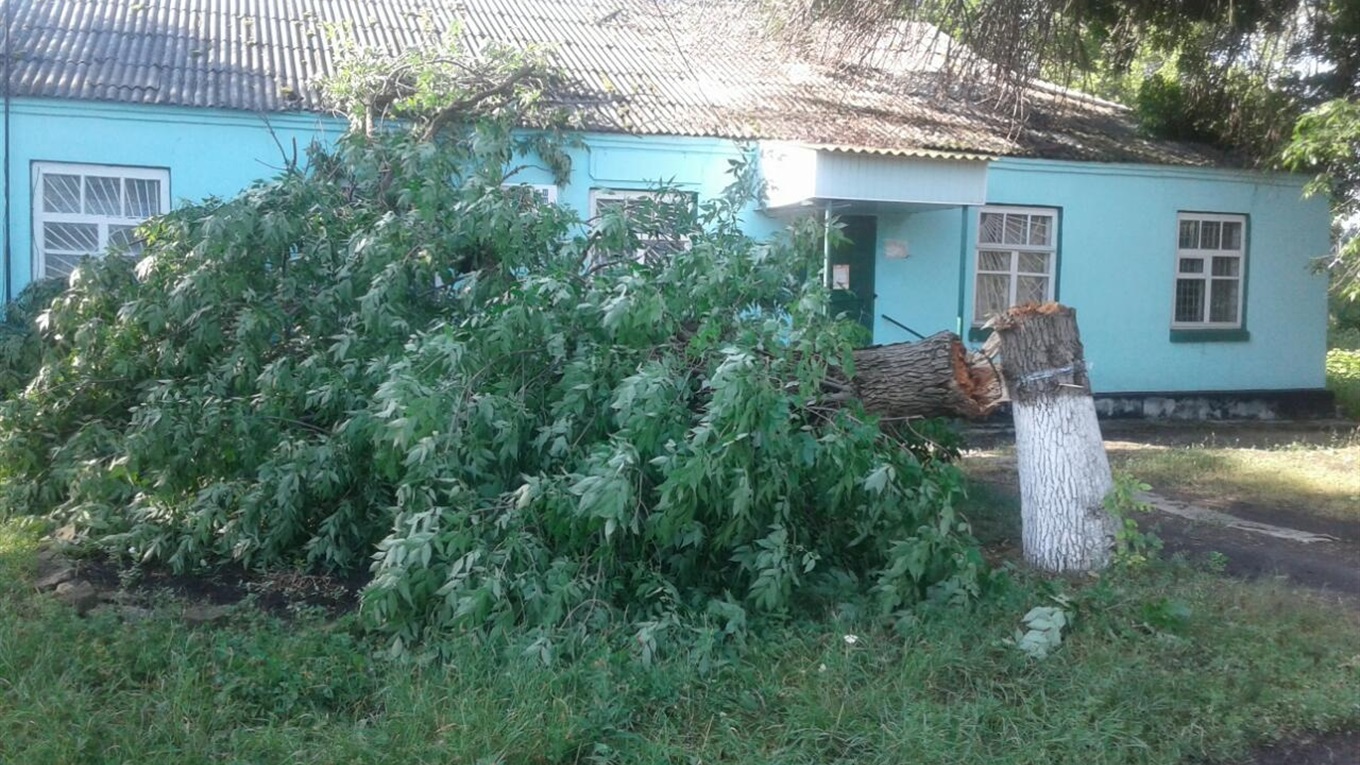 В Попаснянском районе ураган повредил крыши и повалил деревья