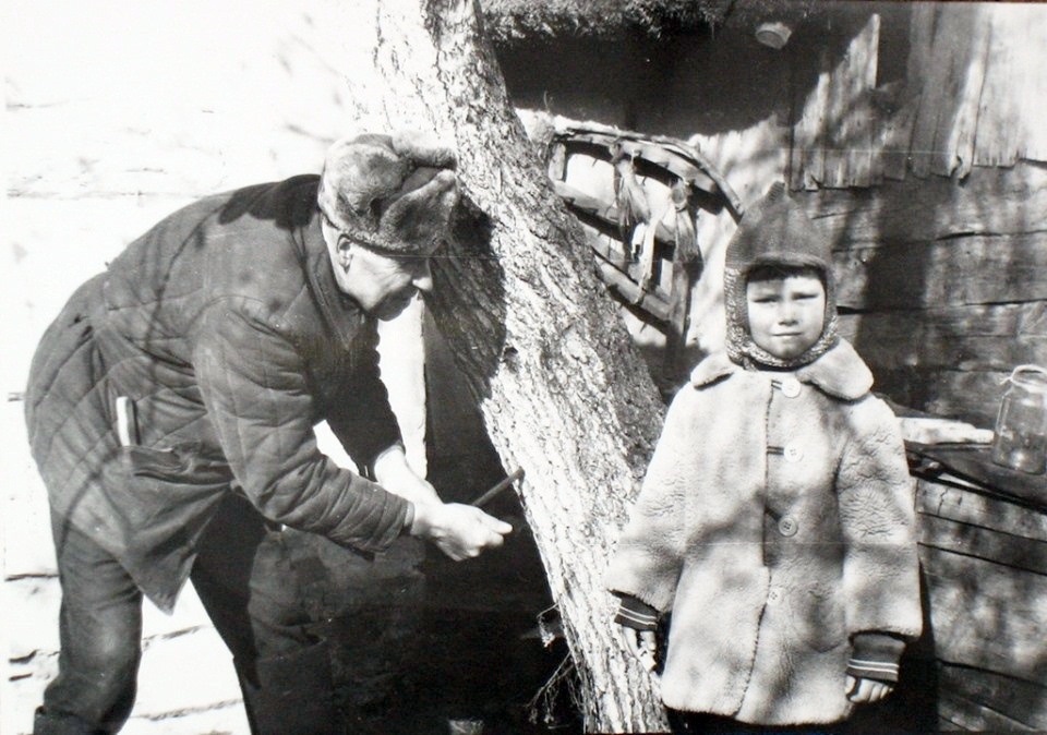 Буде березовий сік